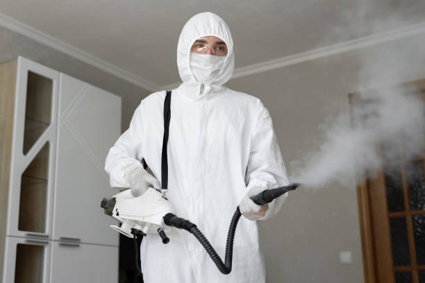 Best Mold Remediation for Vacation Homes  in Pearl River, MS